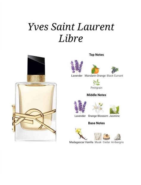 ysl y le parfum scent notes|YSL libre samples.